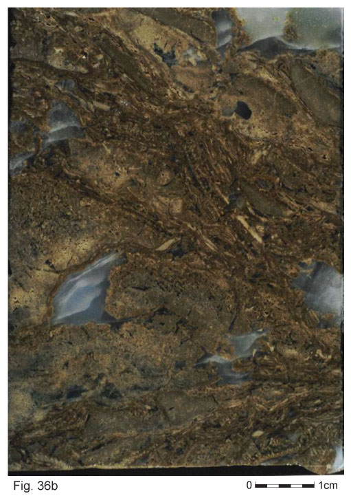 Fig36b
