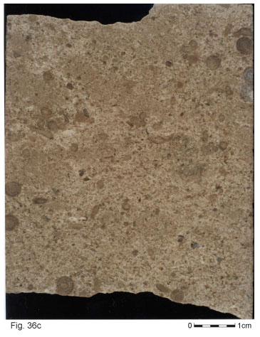 Fig36c