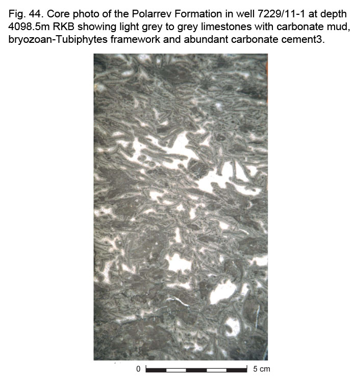 Fig44