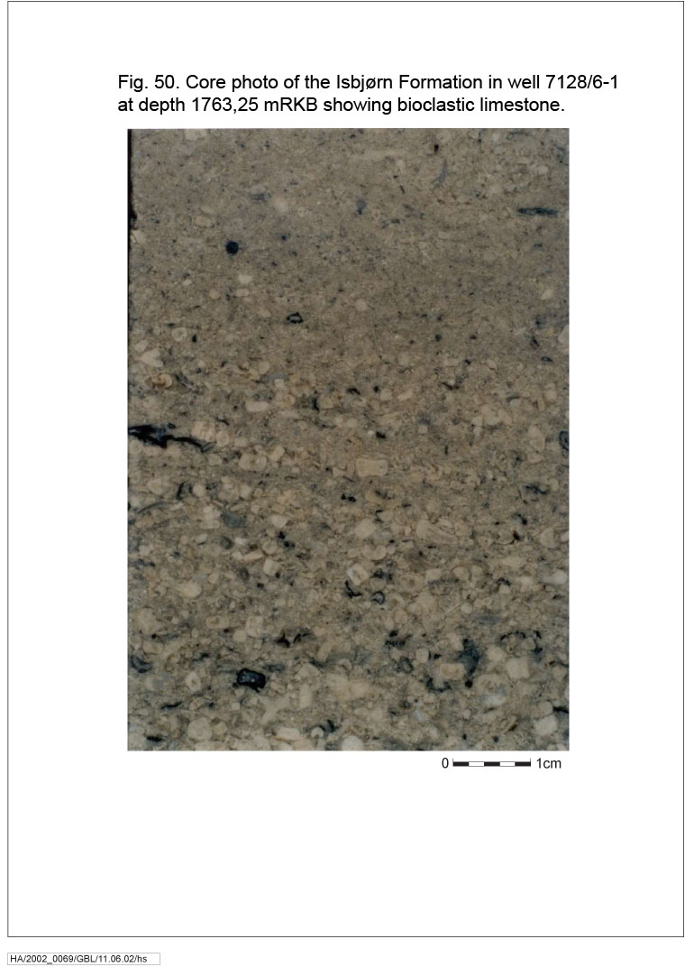 Fig50