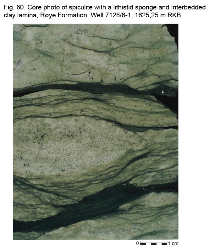 Fig60