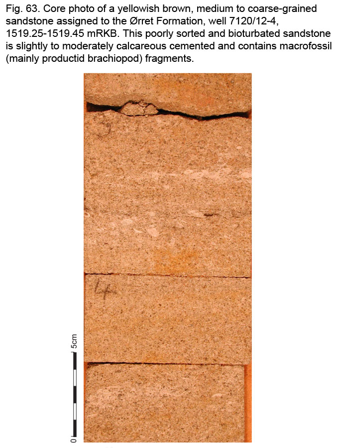 Fig63