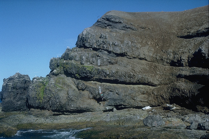Fig. 2-101