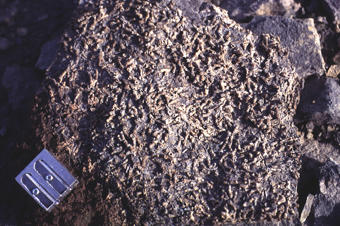 Fig. 2-55