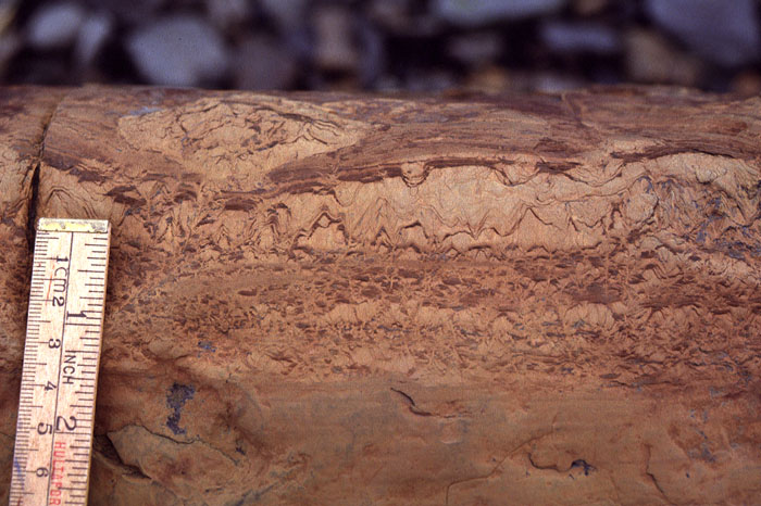 Fig. 3-49