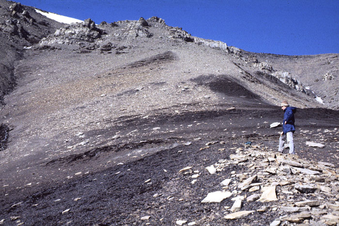 Fig. 4-23