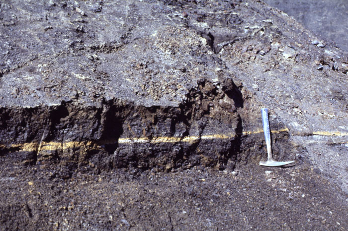 Fig. 4-24