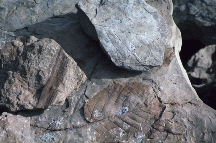 Fig. 4-28